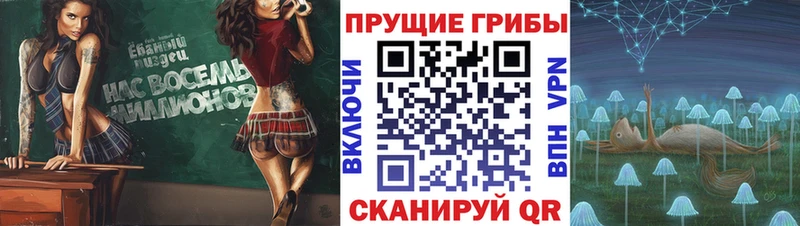 как найти закладки  ссылка на мегу как зайти  Псилоцибиновые грибы мицелий  Одинцово 