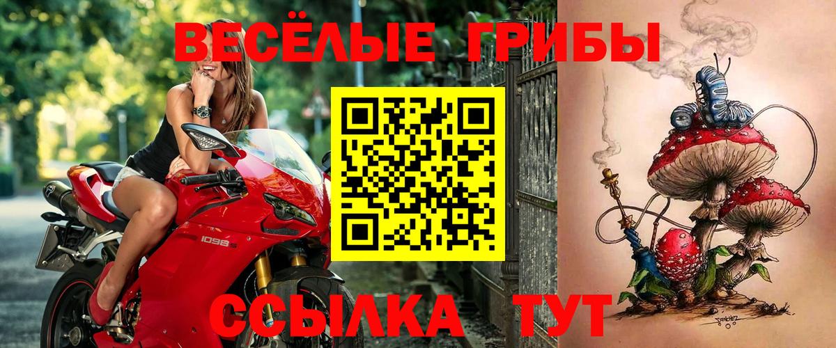 Одинцово  Псилоцибиновые грибы прущие грибы  Галлюциногенные грибы ЛСД  Вход с VPN 