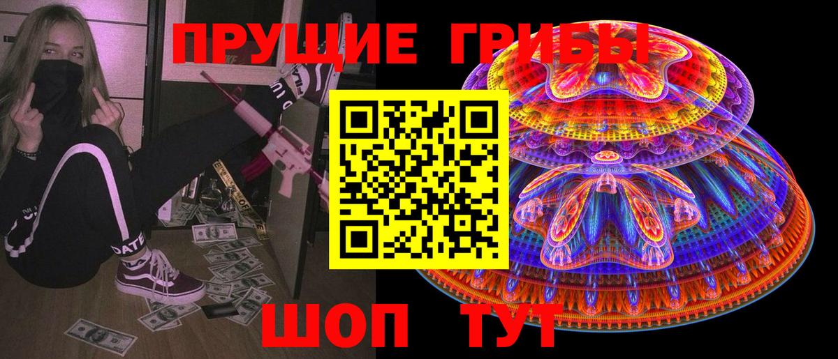 Галлюциногенные грибы Psilocybe Одинцово
